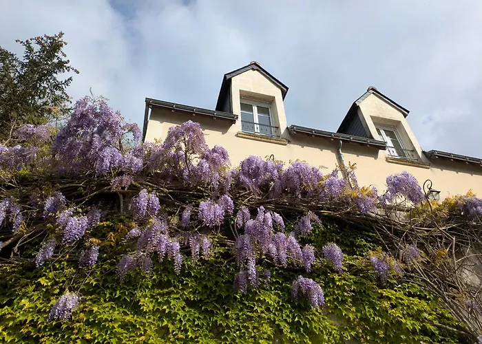 La Roche Bellevue
